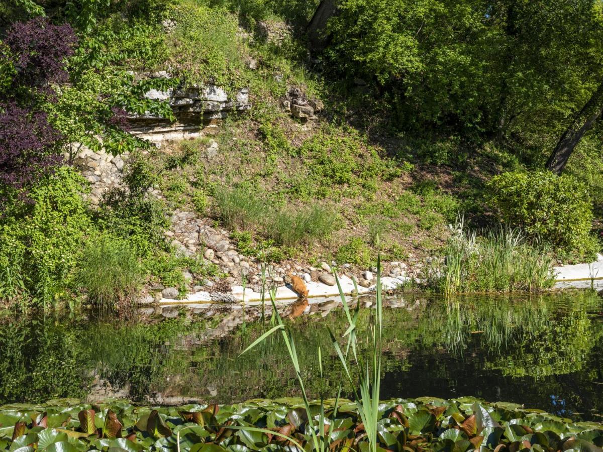 La Campagne St Lazare - Restaurant Chambres D'Hotes Piscine & Spa Forcalquier Eksteriør billede