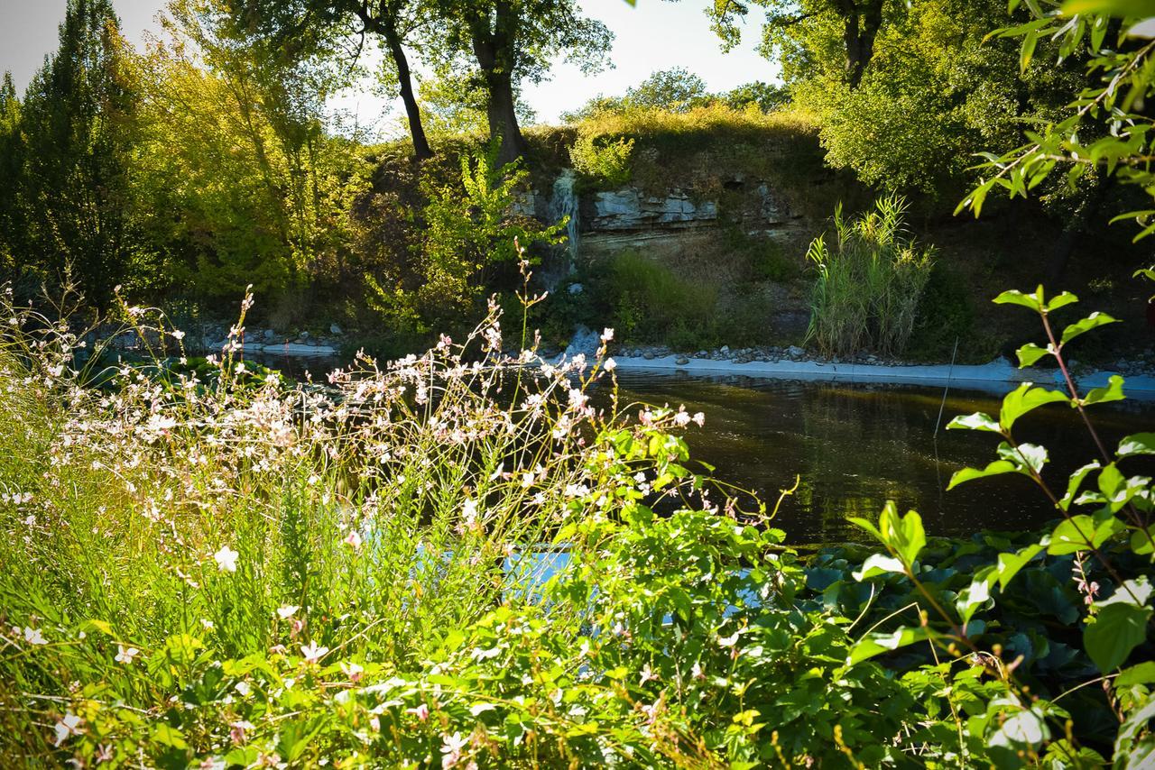 La Campagne St Lazare - Restaurant Chambres D'Hotes Piscine & Spa Forcalquier Eksteriør billede